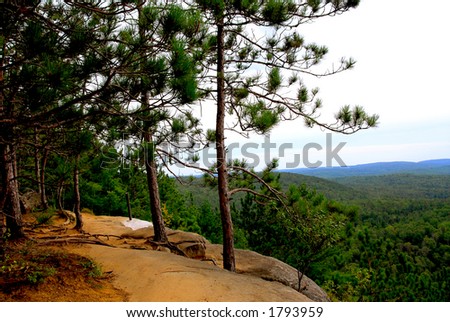 Forest trail on pine cliffs in Algonquin provincial park in Canada