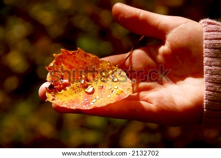 Child\'s hand holding fall aspen leaf with sparkling water drops