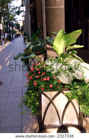 City street in the summer decorated with potted flowers