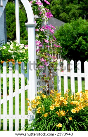 White picket fence and pink clematis at country house