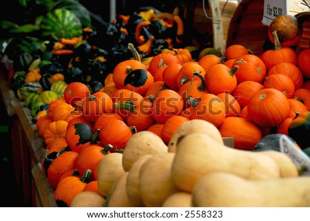 Fall farmers market