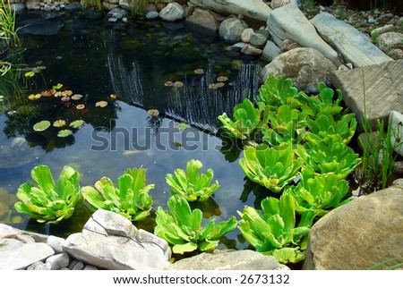 Natural stone pond as landscaping design element