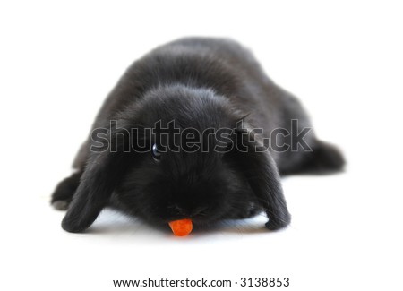 Black+and+white+carrot+clip+art