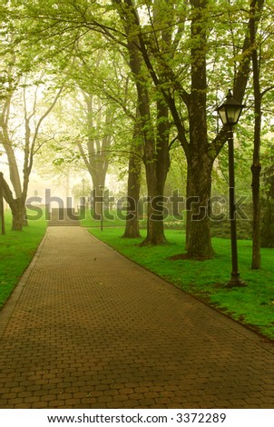 Path in a green foggy park in the spring