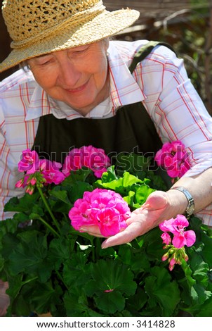 Senior woman with a pot of geranuim flowers in her garden, focus on hand and flowers