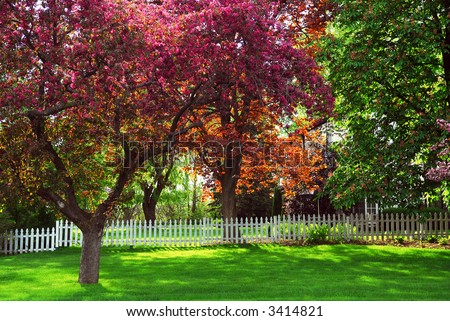 Spring rural landscape with white picket fence and blooming apple trees