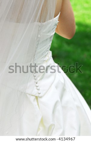 Bride in veil and her wedding gown outside