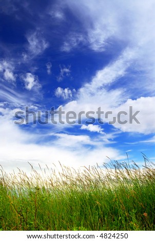 Natural background of bright blue sky and green grass