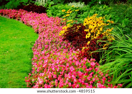 Blooming flowers in late summer garden flowerbeds
