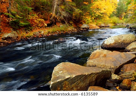 Forest river in the fall. Algonquin provincial park, Canada.
