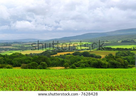 Scenic view on summer agricultural landscape in Brittany, France