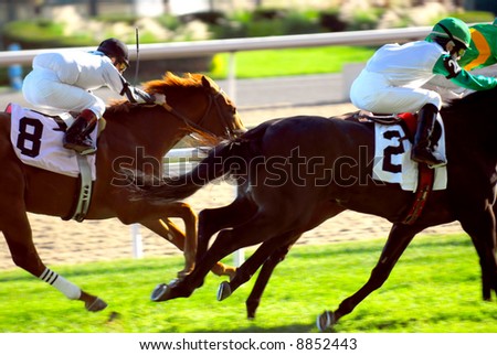 Jockeys racing thoroughbred horses on a turf racetrack