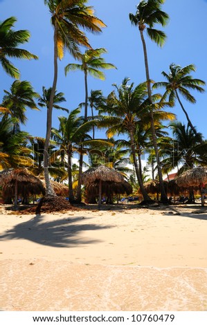 Tropical beach with palm trees and umbrellas on Caribbean island