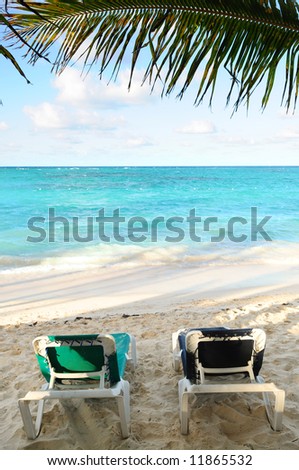 Two beach chairs under a palm tree on the ocean shore in tropical resort