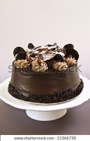 Round chocolate cake with frosting on a plate