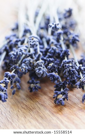 Bunch of dried lavender herb close up