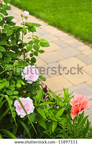 Lush blooming summer garden with paved path
