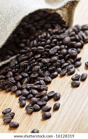 Roasted coffee beans in a rustic canvas bag