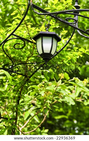 Wrought iron arbor with lantern in lush green garden