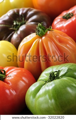 Close up group of multi colored heirloom tomatoes