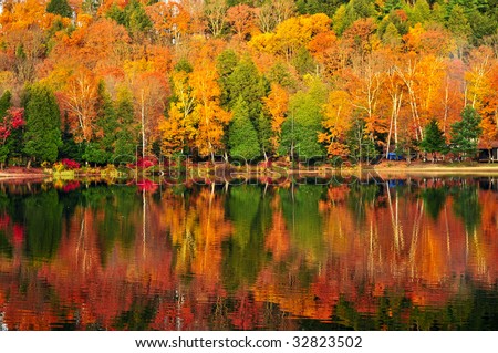 Forest of colorful autumn trees reflecting in calm lake