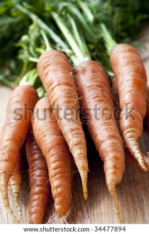 Bunch of whole fresh organic orange carrots