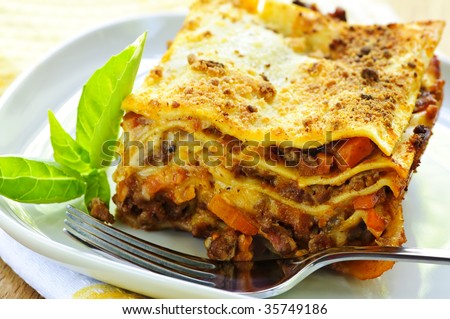Serving of fresh baked lasagna on a plate