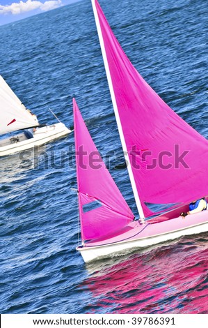 Small sailboats sailing on blue water on a summer day