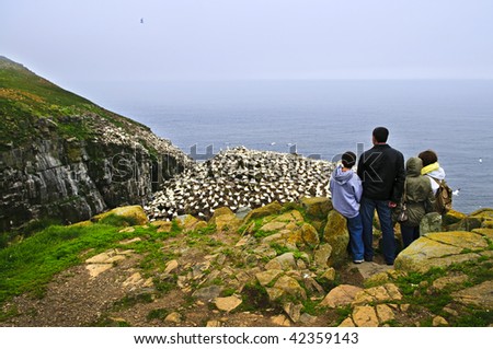Family watching northern gannets at Cape St. Mary\'s Ecological Bird Sanctuary in Newfoundland, Canada