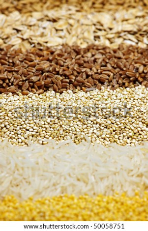 Background of different kinds of grains close up