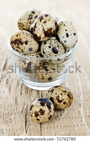 Many small brown spotted quail eggs in bowl