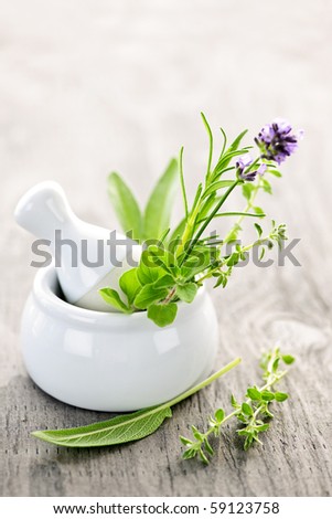 Healing herbs in white ceramic mortar and pestle