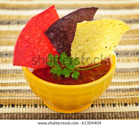 Bowl of salsa with colorful tortilla chips