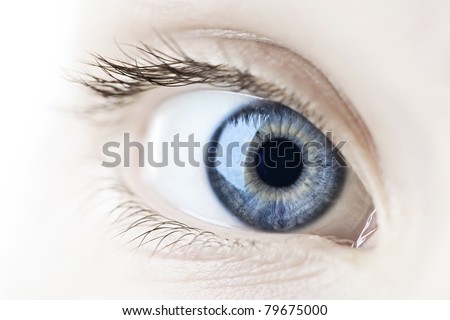 Female blue eye looking at camera close up