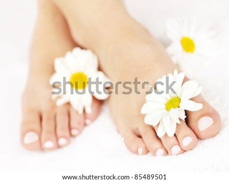 Soft female feet with pedicure and flowers close up