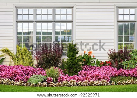 Flowerbed of colorful flowers against wall with windows