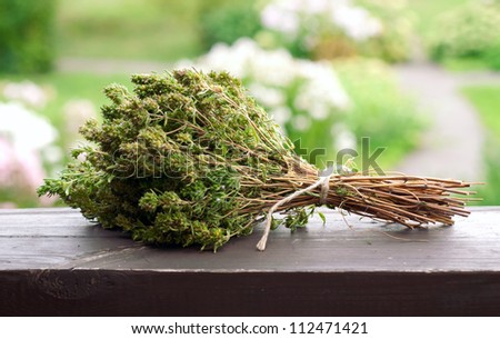Bunch of thyme herb