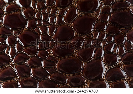 Brown snake skin detailed texture background.