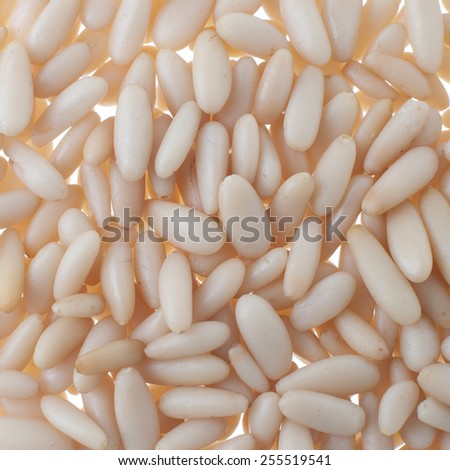 Pine nuts background, food texture.