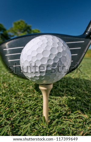 golf ball on tee with driver at manicured florida course