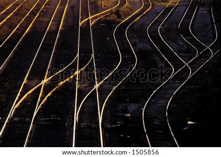 train rails reflect golden sunset light leading into train yard