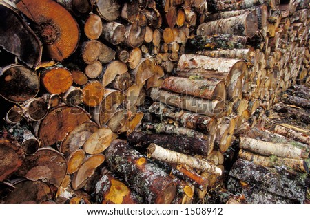 logs piled up