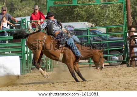 riding bucking bronco event at rodeo (editorial use only)