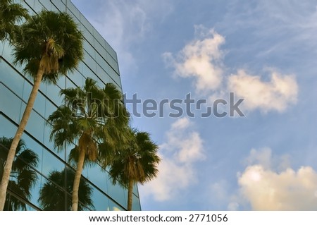 sunset sky, clouds and palms against mirrored public office building