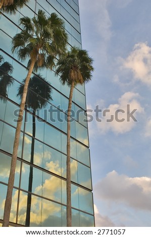sunset, palms and clouds against mirrored public office building