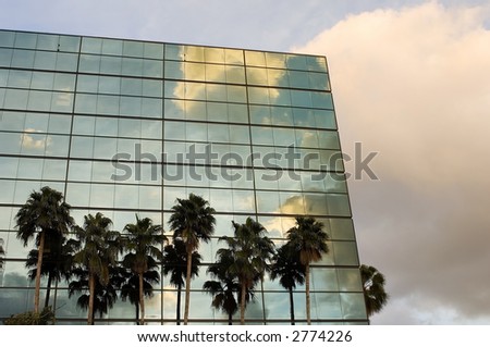palm and sunset reflections and clouds against mirrored public office building