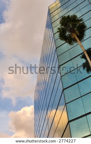 sunset, palms and clouds against mirrored public office building