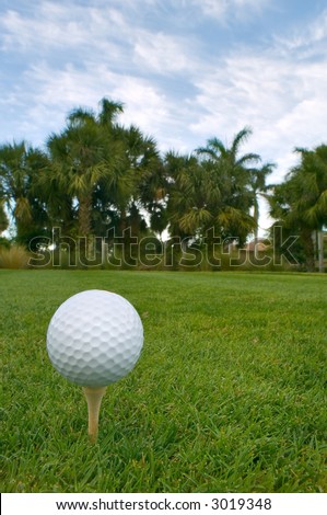 golf ball on tee with palms and patchy blue sky background