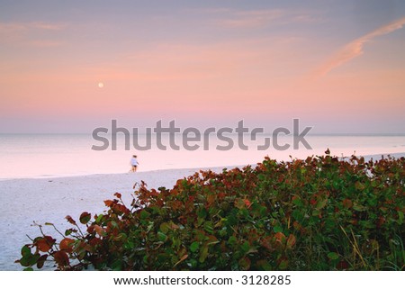 moonset at dawn over florida gulf coast beach at naples