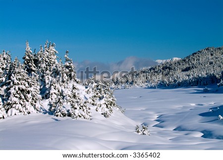 winter scenic in chugach forest region of alaska